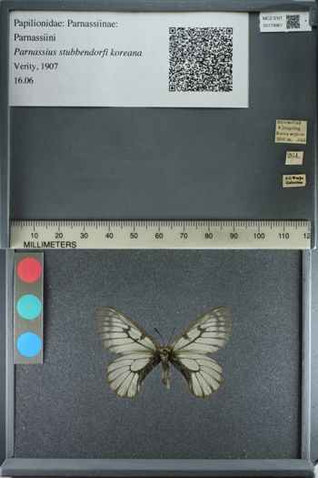Media type: image;   Entomology 179961